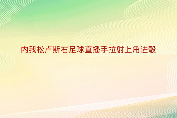 内我松卢斯右足球直播手拉射上角进彀